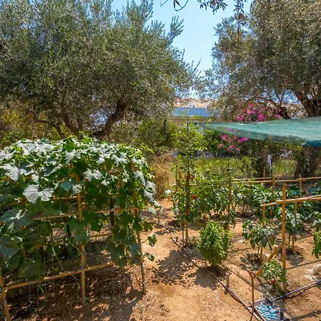 アパートホテル Mon Repo 4*