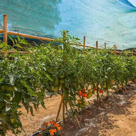 公寓式酒店 Mon Repo